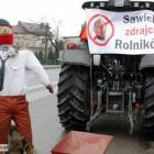 zdjęcie nr 10