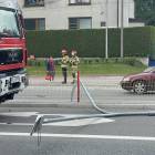 Fotka nr 1 z 8