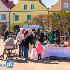 zdjęcie nr 18