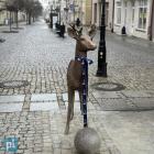 zdjęcie nr 23