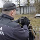 Fotka nr 1 z 5