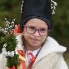zdjęcie nr 41