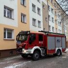 Fotka nr 3 z 4