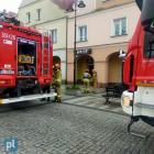 Fotka nr 2 z 7