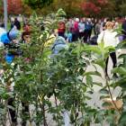Fotka nr 2 z 25