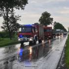 zdjęcie nr 10
