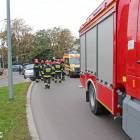 Fotka nr 3 z 9
