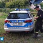 Fotka nr 5 z 9