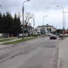 Fotka nr 5 z 15