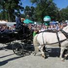 zdjęcie nr 50