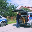 Fotka nr 1 z 5