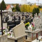 zdjęcie nr 14