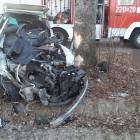 Fotka nr 3 z 4