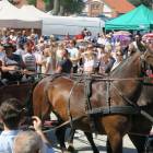 zdjęcie nr 69