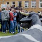 zdjęcie nr 7