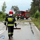 Fotka nr 1 z 9
