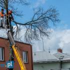 zdjęcie nr 79