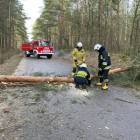 zdjęcie nr 7