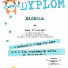 zdjęcie nr 12
