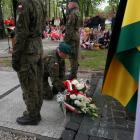 zdjęcie nr 27