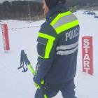 Fotka nr 3 z 11