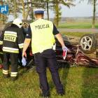 Fotka nr 1 z 11