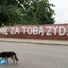 Fotka nr 5 z 6