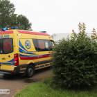 Fotka nr 1 z 6