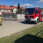 Fotka nr 1 z 8