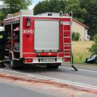 zdjęcie nr 8