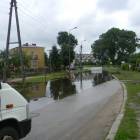 Fotka nr 2 z 6