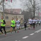 Fotka nr 1 z 8