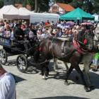 zdjęcie nr 58