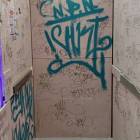 Fotka nr 2 z 6