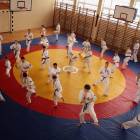 zdjęcie nr 10