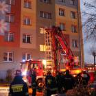 Fotka nr 3 z 18