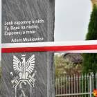 zdjęcie nr 8