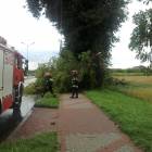 Fotka nr 1 z 2