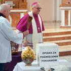 zdjęcie nr 13