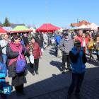 zdjęcie nr 8
