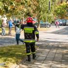 zdjęcie nr 31