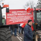 zdjęcie nr 21