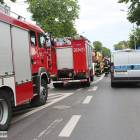Fotka nr 1 z 5