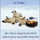 zdjęcie nr 11