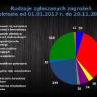 Fotka nr 5 z 7