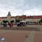 zdjęcie nr 8