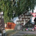 zdjęcie nr 44
