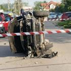 Fotka nr 5 z 17