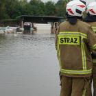 Fotka nr 2 z 21