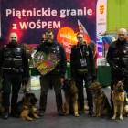 zdjęcie nr 28